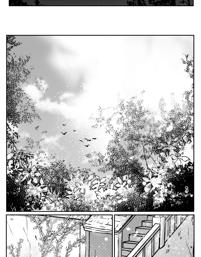 Image 6 Cut